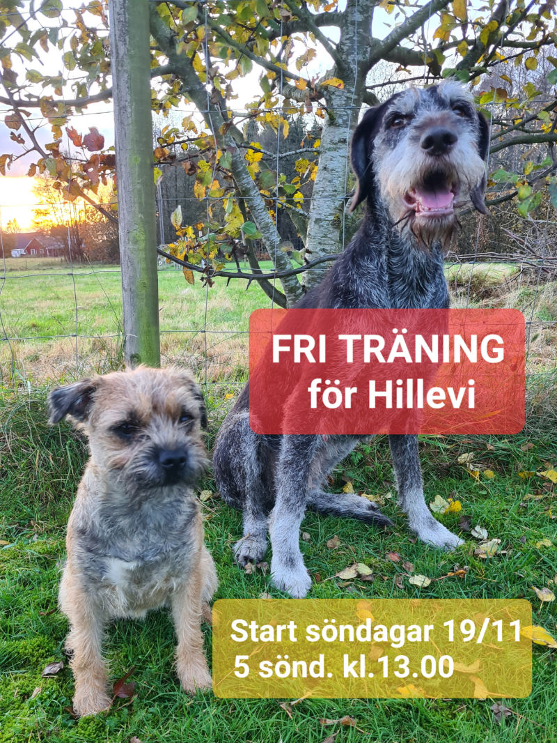 Fri_träning
